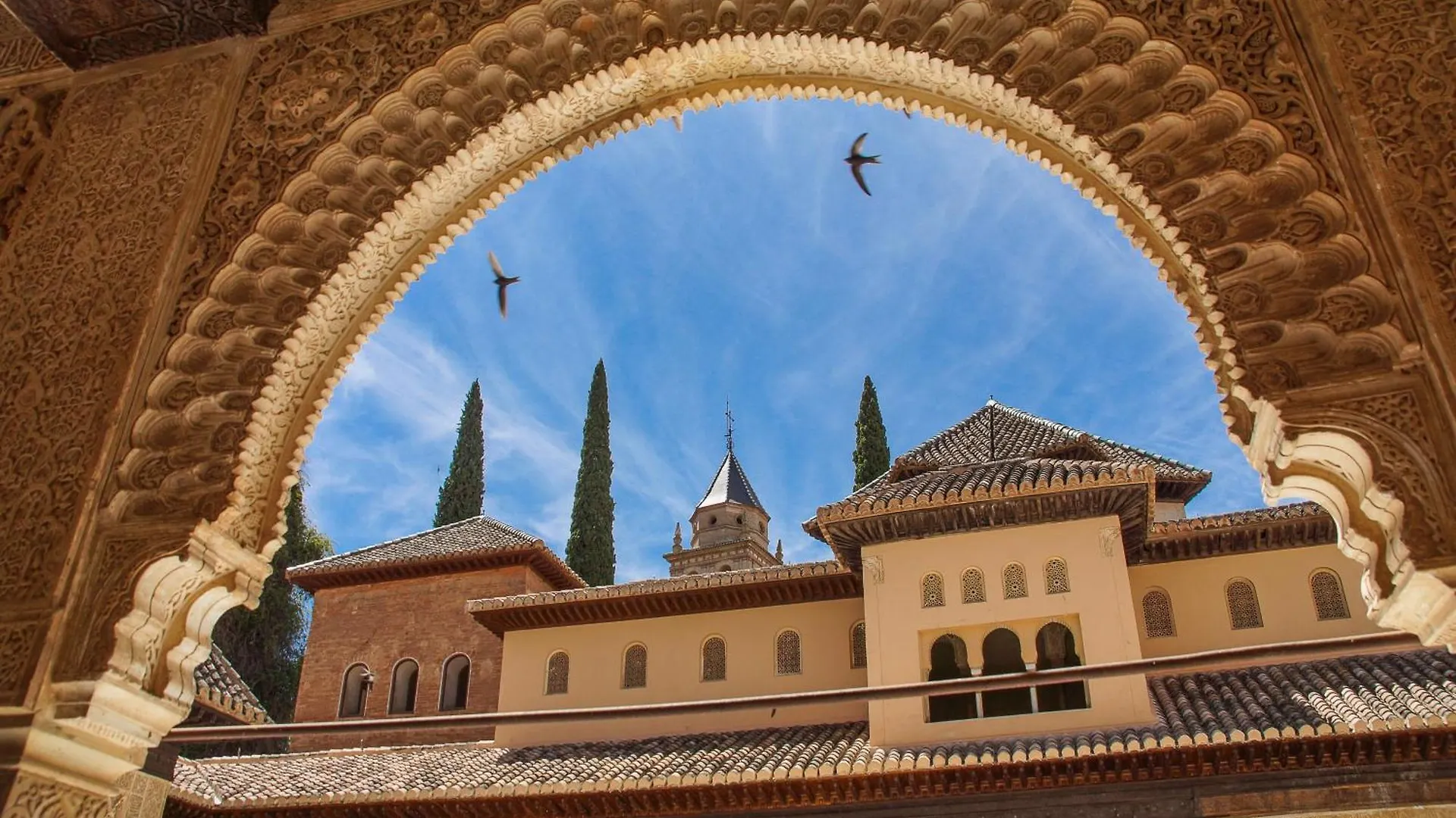 Dali'S Sanctuary In Granada - Private Parking Free Apartment Spain