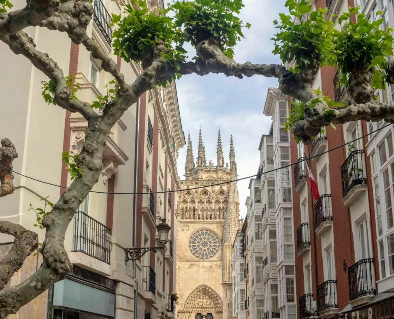 Dali'S Sanctuary In Granada - Private Parking Free Apartment 0*,